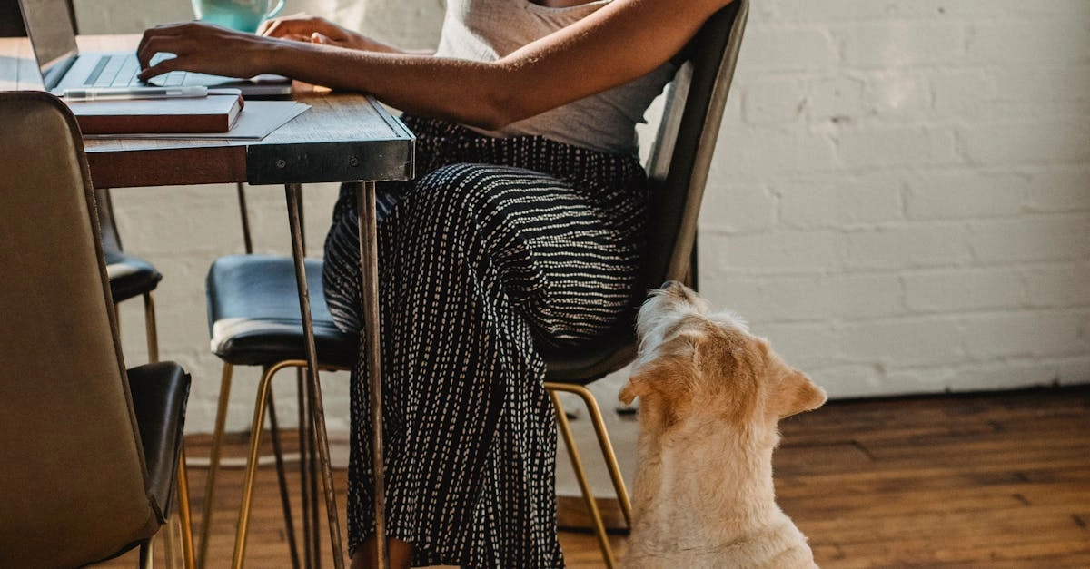 The Dog House Megaways слот - профессиональный анализ игры